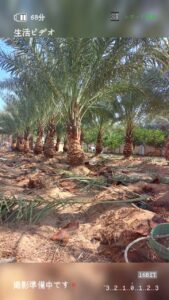 صورة واتساب بتاريخ 1447-04-17 في 13.18.10_6017bf78