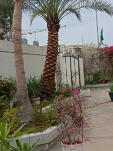 صورة واتساب بتاريخ 1447-04-17 في 13.18.11_b0a621b9