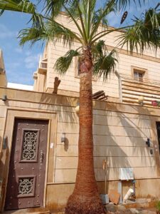 صورة واتساب بتاريخ 1447-04-17 في 13.18.12_121fada9