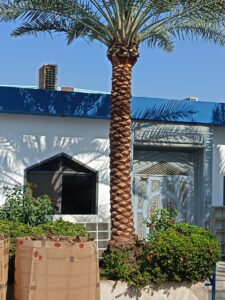 صورة واتساب بتاريخ 1447-04-17 في 13.18.12_75935ddb