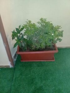 صورة واتساب بتاريخ 1447-04-17 في 13.18.15_05d3030e