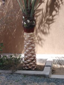 صورة واتساب بتاريخ 1447-04-17 في 13.18.16_5b20ddda