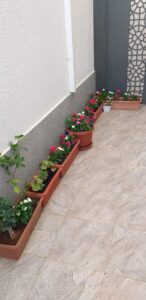 صورة واتساب بتاريخ 1447-04-17 في 13.18.17_3fbd4b66