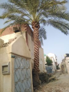 صورة واتساب بتاريخ 1447-04-17 في 13.18.17_4a83e4b2