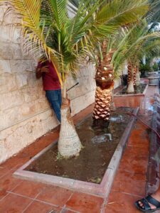 صورة واتساب بتاريخ 1447-04-17 في 13.18.18_99b51cc0