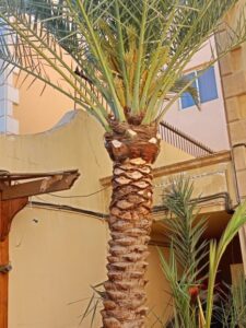 صورة واتساب بتاريخ 1447-04-17 في 13.18.50_188013e2