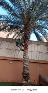 صورة واتساب بتاريخ 1447-04-17 في 13.18.50_5fef2895