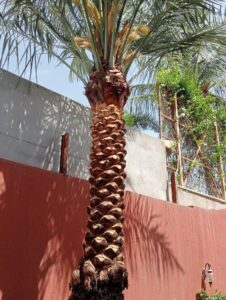 صورة واتساب بتاريخ 1447-04-17 في 13.18.55_226d0621