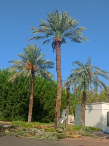 صورة واتساب بتاريخ 1447-04-30 في 00.24.06_27277604