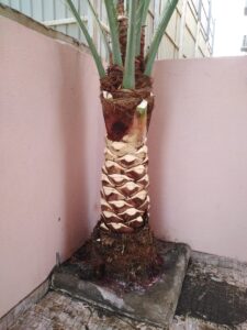 صورة واتساب بتاريخ 1447-04-30 في 00.24.06_2bc70e83