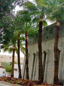 صورة واتساب بتاريخ 1447-04-30 في 00.24.09_82f54d91