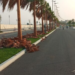 صورة واتساب بتاريخ 1447-04-30 في 00.24.09_aecfcbbc
