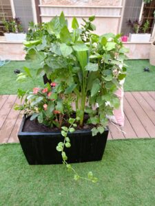 صورة واتساب بتاريخ 1447-05-01 في 23.41.16_72afb8f8
