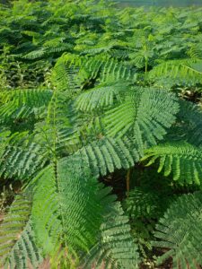 صورة واتساب بتاريخ 1447-05-04 في 22.18.11_2e9d9d10