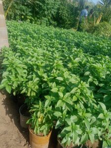 صورة واتساب بتاريخ 1447-05-04 في 22.18.12_7050c6e3