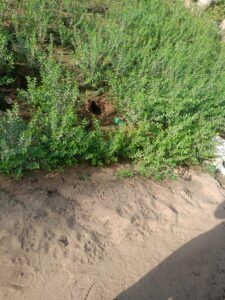 صورة واتساب بتاريخ 1447-05-04 في 22.18.12_7c51335f